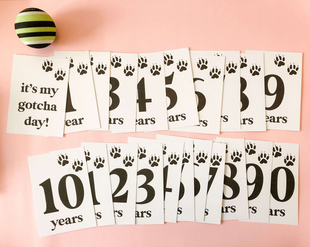 Dog Milestone Cards - Hue Complete Me